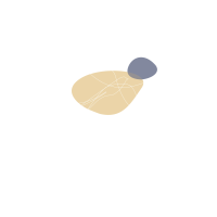 andoroin-original